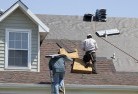 Junabeeskylights-2.jpg; ?>